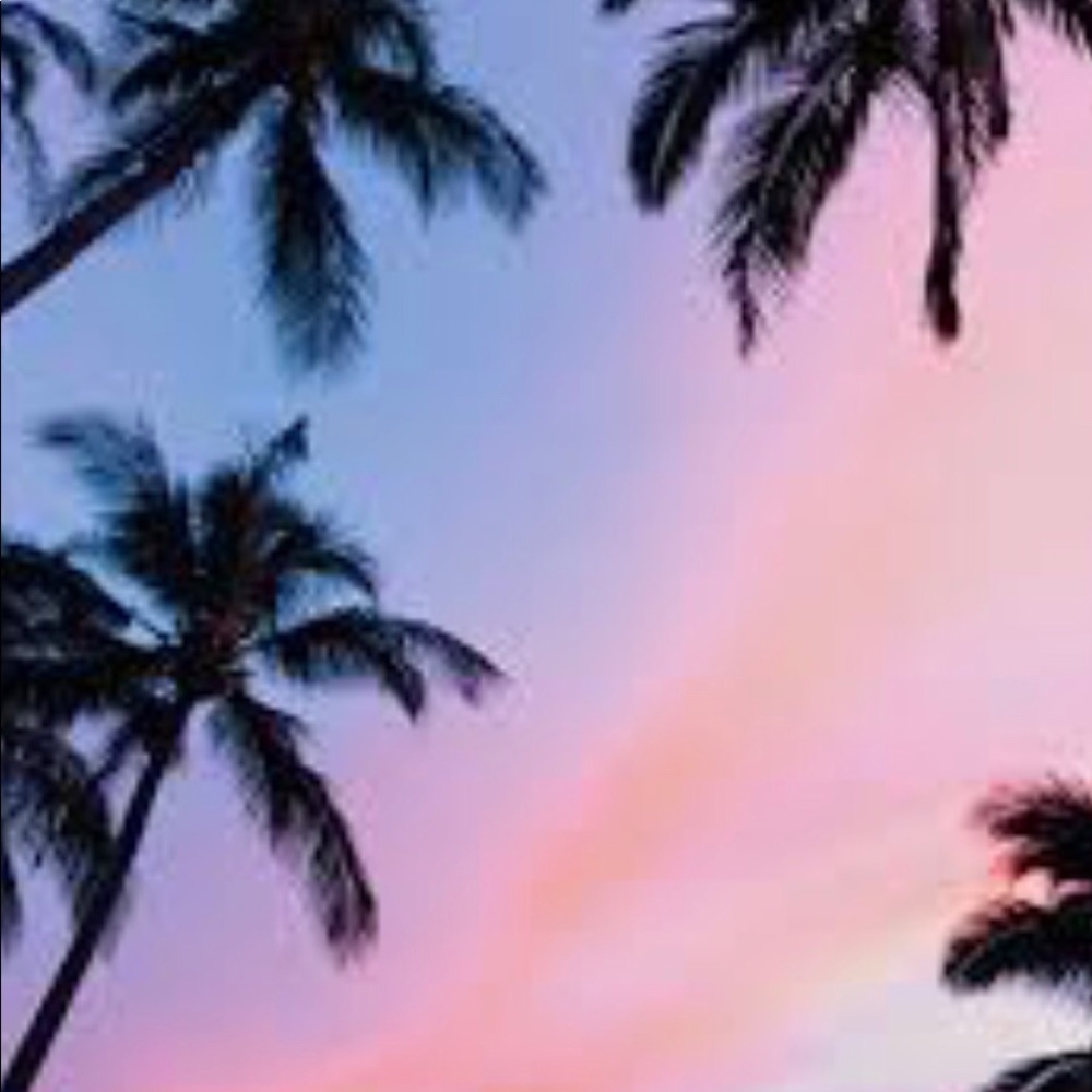 Meet your Posher, Izzy